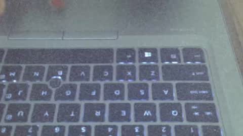 Champaign online show from 19, 3, 2026