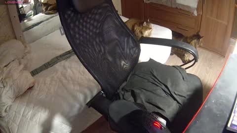 Snapshot of juleea_doll chatting on 15, 12, 2024 Julia online show from 15, 12, 2024