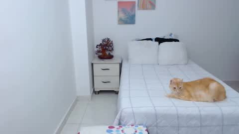 Snapshot of julia_gray_ chatting on 30, 12, 2024 julia online show from 30, 12, 2024