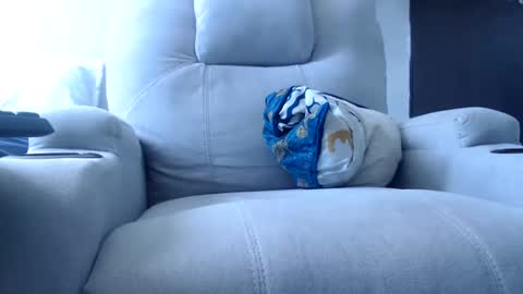 Julie bunny online show from 15, 12, 2024