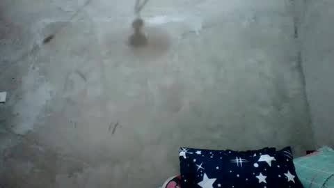 Snapshot of juliettaxx chatting on 27, 2, 2026 juliett online show from 27, 2, 2026