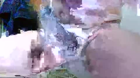 Snapshot of junk_yard_dog chatting on 25, 2, 2026 Dave online show from 25, 2, 2026