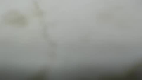 Snapshot of junk_yard_dog chatting on 10, 3, 2026 Dave online show from 10, 3, 2026