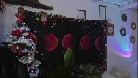 Sofia online show from 31, 12, 2024