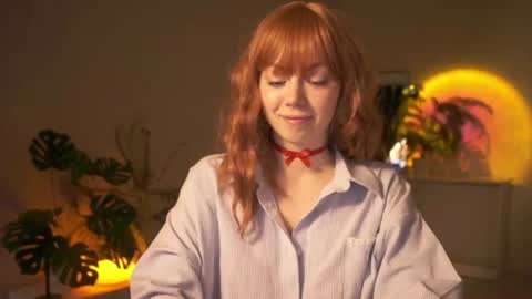 Alexa online show from 24, 7, 2026