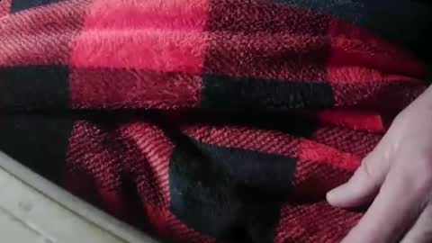 Justme39057 online show from 11, 4, 2026