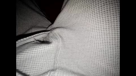 Snapshot of justswack chatting on 8, 12, 2024 justswack online show from 8, 12, 2024