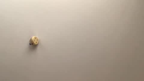 jutt_007 online show from 29, 11, 2025