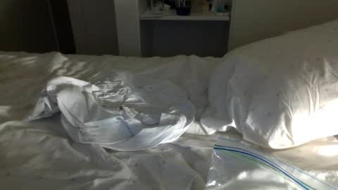 Snapshot of jwill10000 chatting on 23, 1, 2025 J and Sugar snap pea online show from 23, 1, 2025