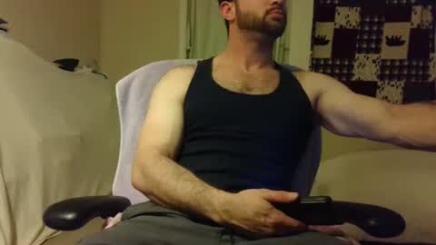 Wolf online show from 27, 12, 2024