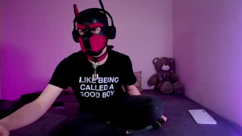 Snapshot of k9_goodboy chatting on 22, 3, 2026 Alex online show from 22, 3, 2026