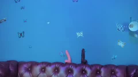 kaira_mosse_ online show from 2, 8, 2026