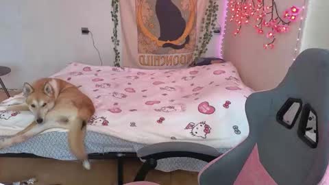 Snapshot of kaisythesmall chatting on 12, 3, 2026 Kessy online show from 12, 3, 2026