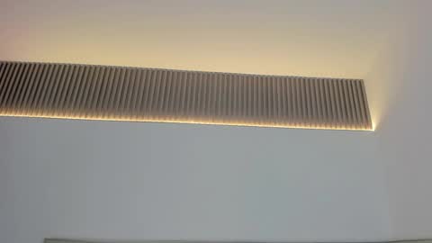 Carolina   online show from 19, 11, 2025