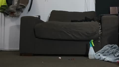 Snapshot of kandydreamss chatting on 17, 1, 2025 Kandy Dreams online show from 17, 1, 2025