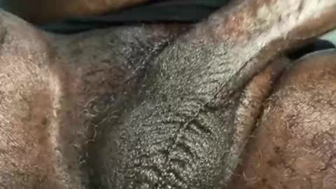 Snookie online show from 4, 12, 2024