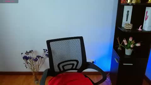 karime lee online show from 28, 7, 2026