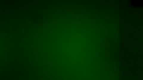 Karla Gonzaless online show from 1, 11, 2025