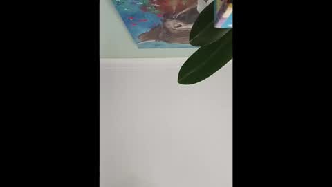 karnathra online show from 10, 4, 2026