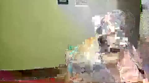 Karol online show from 3, 5, 2026