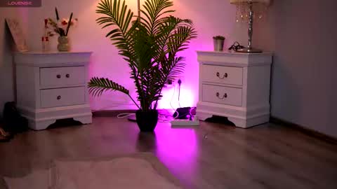 Snapshot of kassidyvibe chatting on 11, 2, 2026 Kassidy online show from 11, 2, 2026