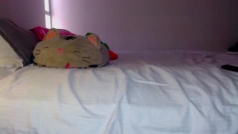 Snapshot of katalinaferreirax chatting on 10, 12, 2024 katalinaferreirax online show from 10, 12, 2024