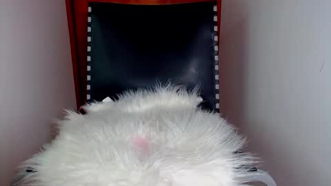 Snapshot of katalinaferreirax chatting on 17, 12, 2024 katalinaferreirax online show from 17, 12, 2024