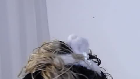 Help me with rate thanks  online show from 11, 12, 2024