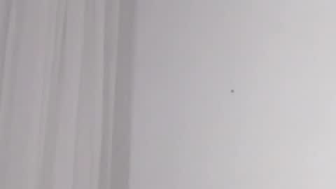 Help me with rate thanks  online show from 16, 2, 2025