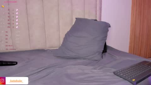 Snapshot of kateryn_bale chatting on 28, 1, 2025 kateryn_bale online show from 28, 1, 2025