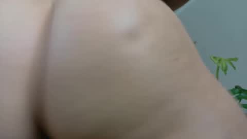 Kate online show from 20, 1, 2025