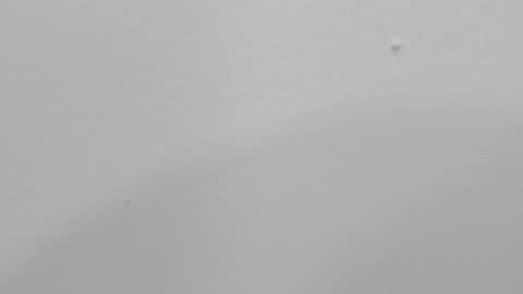 Snapshot of katy_and_paola chatting on 17, 1, 2025 katy blonde girl and paola big boobs online show from 17, 1, 2025