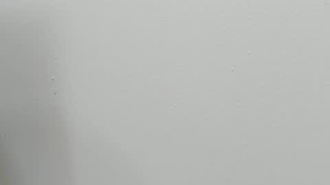 Snapshot of katy_and_paola chatting on 28, 10, 2025 katy blonde girl and paola big boobs online show from 28, 10, 2025