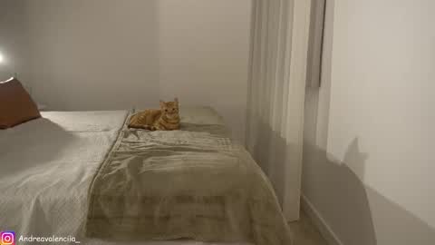 Andrea online show from 10, 3, 2025