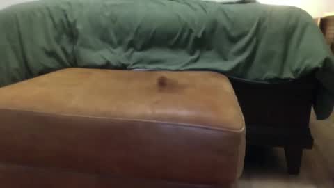 Steve online show from 23, 3, 2026