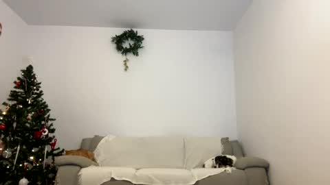 Kenna next time online - 2nd of Dec online show from 23, 12, 2024