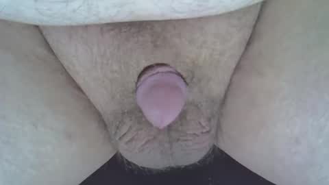 maggot online show from 1, 1, 2025