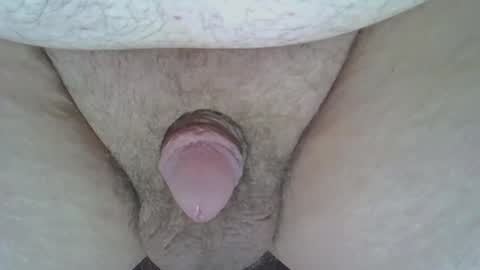 maggot online show from 8, 3, 2025