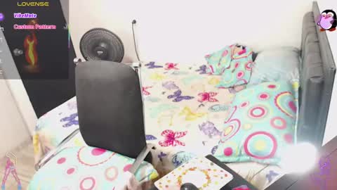 Anita. online show from 31, 1, 2025