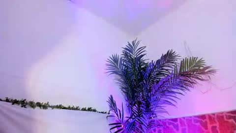 kimberly gonzalez online show from 3, 12, 2024