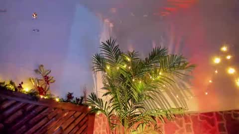 kimberly gonzalez online show from 14, 12, 2024