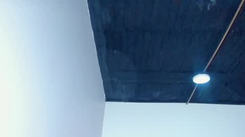 King Dante  online show from 24, 12, 2024