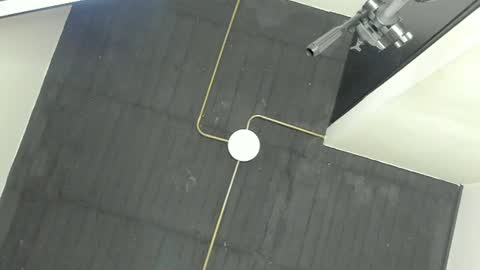 King Dante  online show from 31, 12, 2024