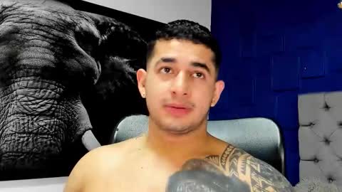 Angel Falconer online show from 3, 12, 2025