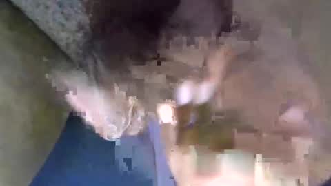 Snapshot of kingcums_95 chatting on 8, 3, 2025 kingcums_95 online show from 8, 3, 2025