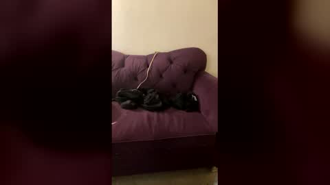 kingecstasyxxxddd online show from 8, 3, 2026