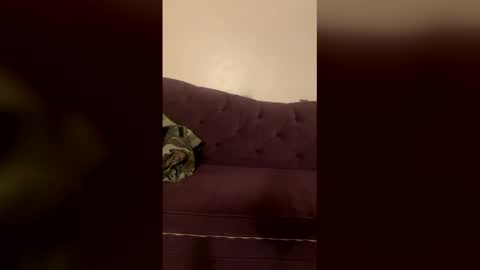 kingecstasyxxxddd online show from 18, 3, 2026