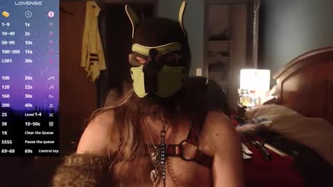 kinkywolf87 online show from 15, 3, 2026