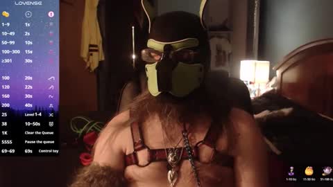 kinkywolf87 online show from 20, 3, 2026