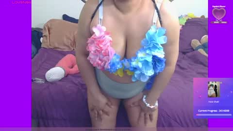 kitten online show from 10, 5, 2026